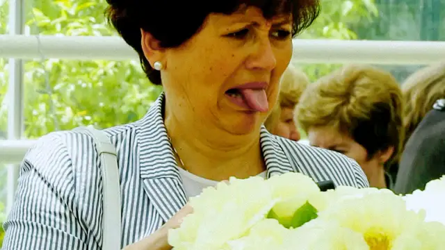 Still from Blooming
