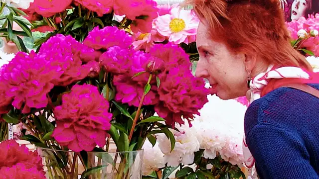 Still from Blooming